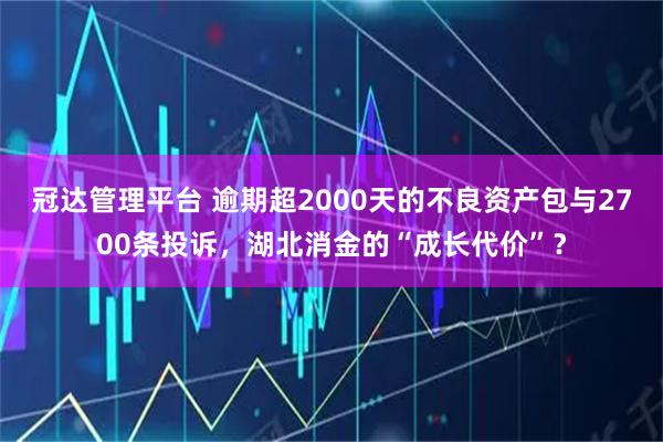 冠达管理平台 逾期超2000天的不良资产包与2700条投诉，湖北消金的“成长代价”？
