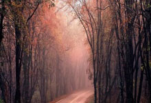 怎么查股票开户总盈亏:看股票的app软件-谁是“车企一哥”？比亚迪“老对手”发力 合资车龙头吹响反攻号角